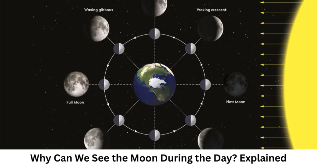 Why Can We See the Moon During the Day? Explained
